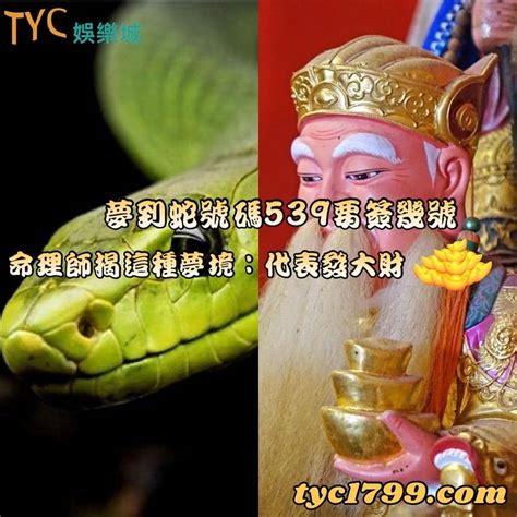 小鳥代表幾號|夢見各種夢所代表的樂透數字（動物篇），周公解夢大全查詢